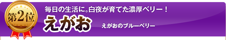 第２位　えがお　えがおのブルーベリー